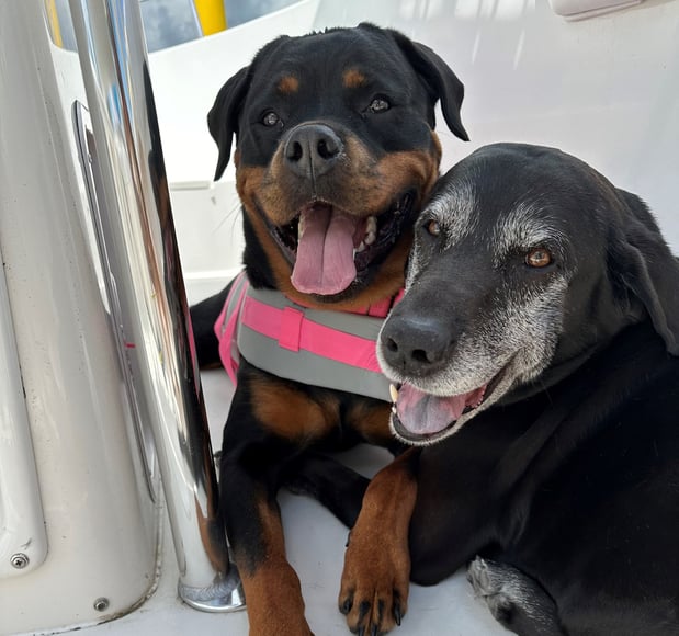 Images Michelle Belesky - State Farm Insurance Agent