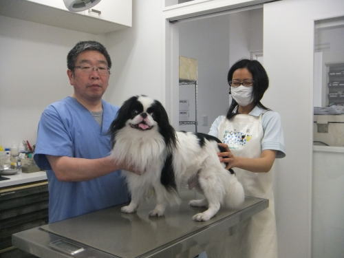 Images 林動物病院