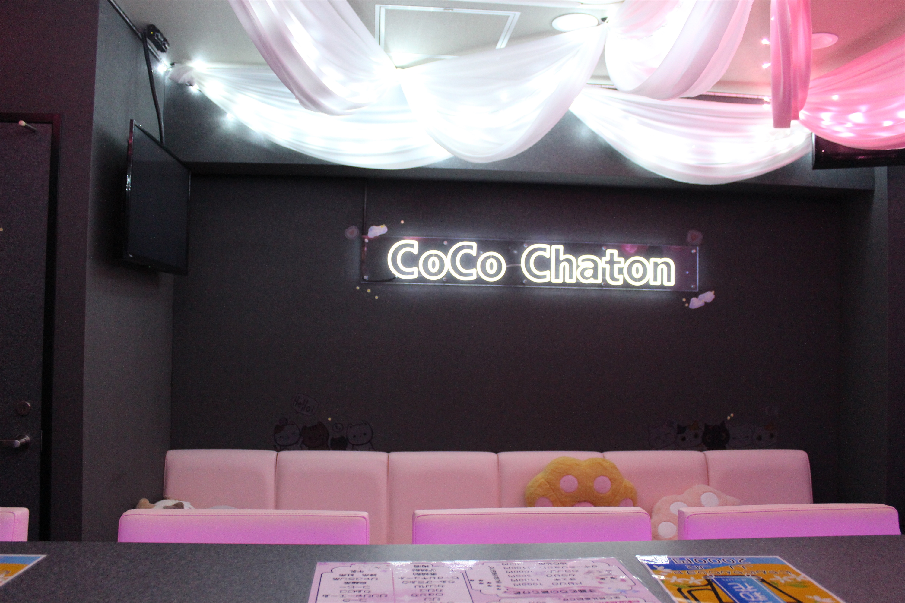 Images CoCo Chaton