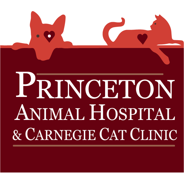 Princeton Animal Hospital & Carnegie Cat Clinic Princeton (609)520-2000