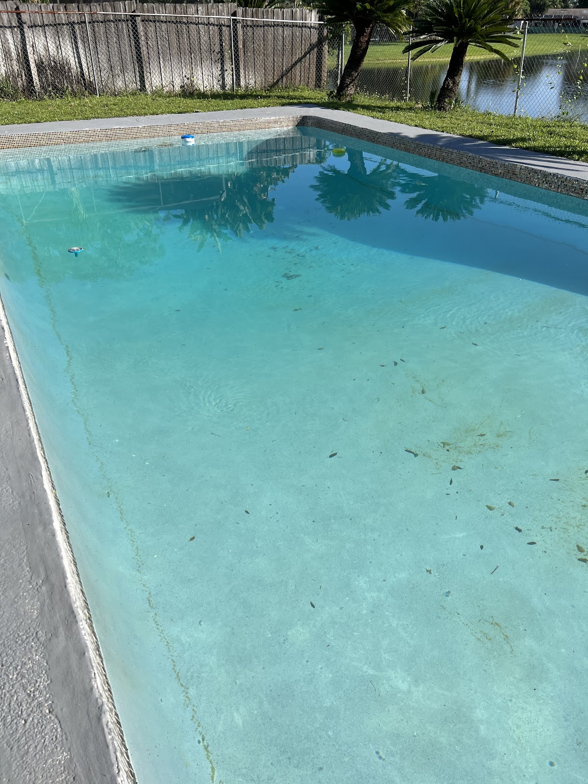 Residential swimming pool with light turquoise water, visible debris on the pool floor, and a fenced backyard setting.