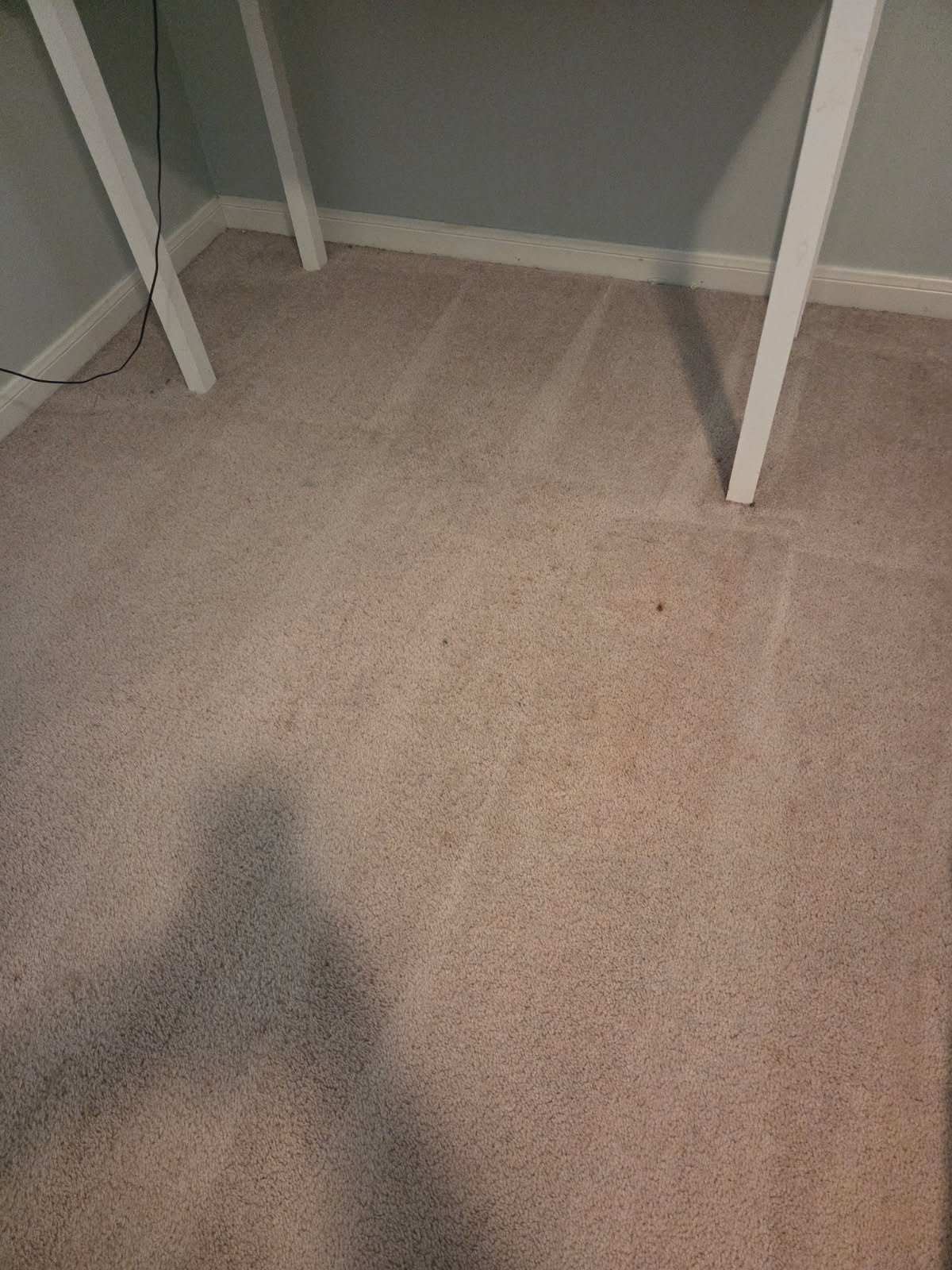 Professional carpet cleaning spring tx