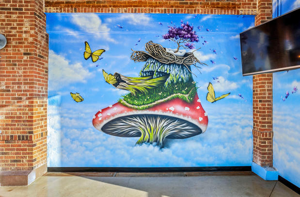 mellow mushroom restaurant mural