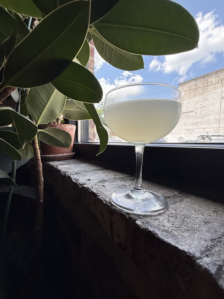 The Fig Leaf Daiquiri catching afternoon light near the front window at Folk in East Nashville. 