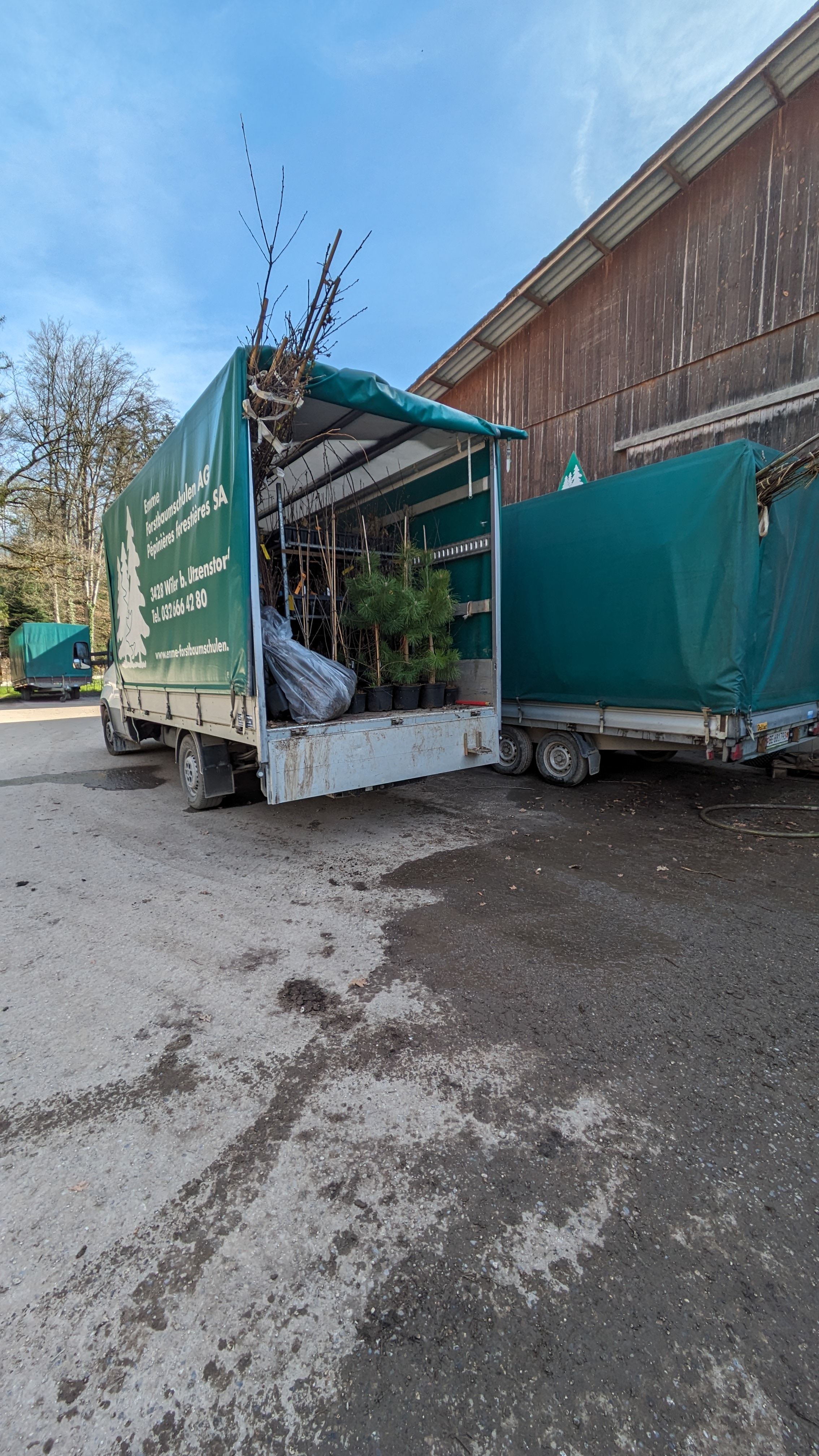 Emme Forstbaumschulen AG, Schachen 9 in Wiler b. Utzenstorf