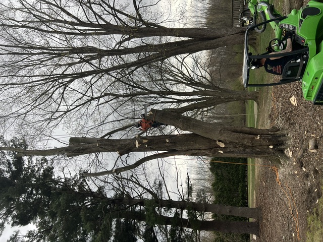 Lucca Landscaping & Construction LLC offers reliable tree cutting services to help manage overgrown, hazardous, or unwanted trees on your property. We handle each job with safety and precision, making sure your landscape remains clean and secure. Our team is experienced in working with trees of all sizes and types, ensuring efficient service with professional results. We’re committed to keeping your outdoor space well-maintained and safe.