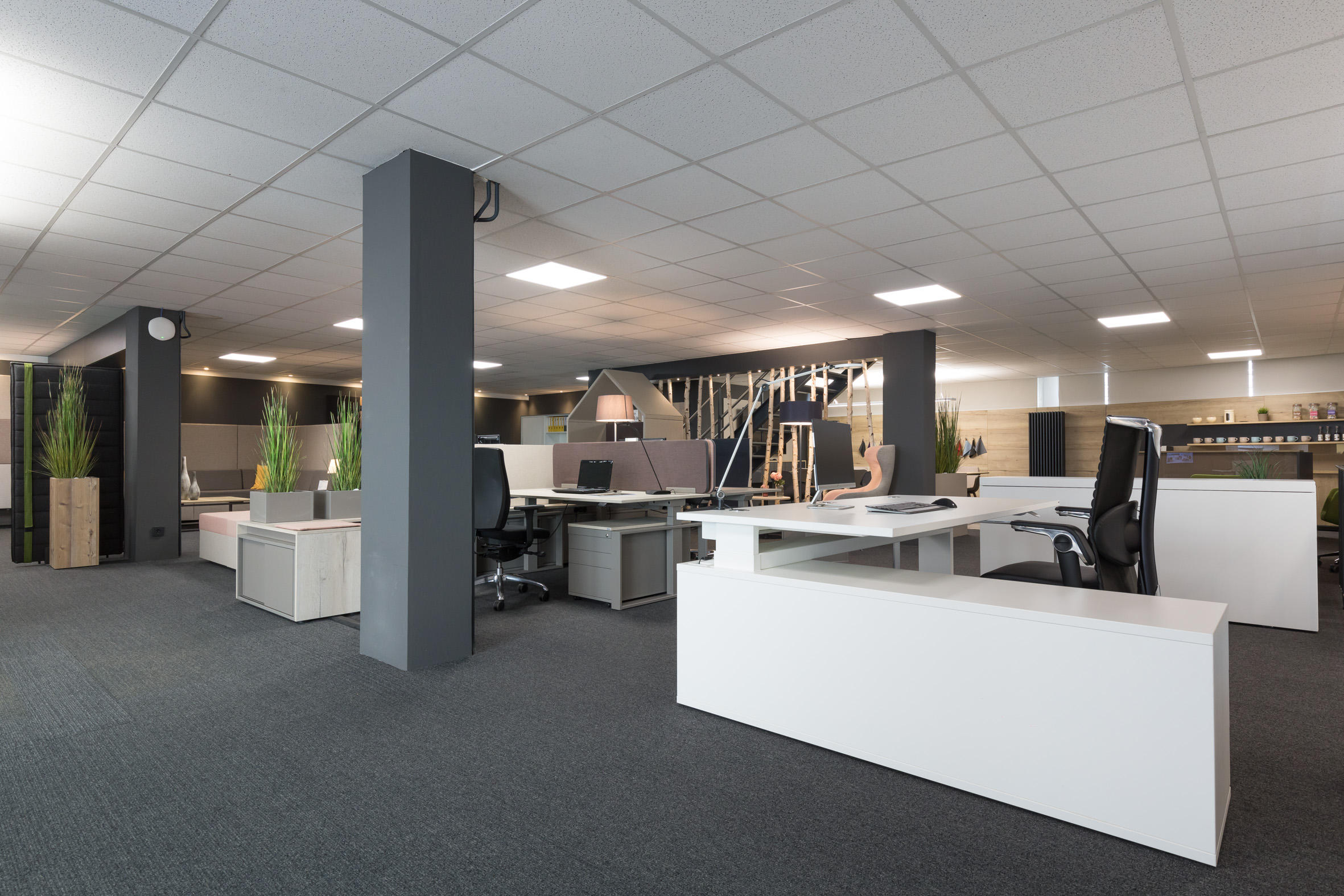 Kundenbild groß 8 SCHRADER BÜROKONZEPTE - Büromöbel, Büroplanung, Objekteinrichtung Köln