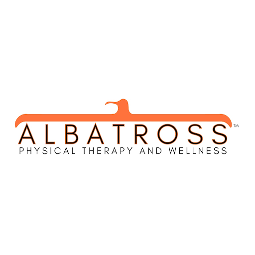 Albatross Physical Therapy and Wellness - Wheaton - Wheaton, IL 60187 - (630)446-5660 | ShowMeLocal.com