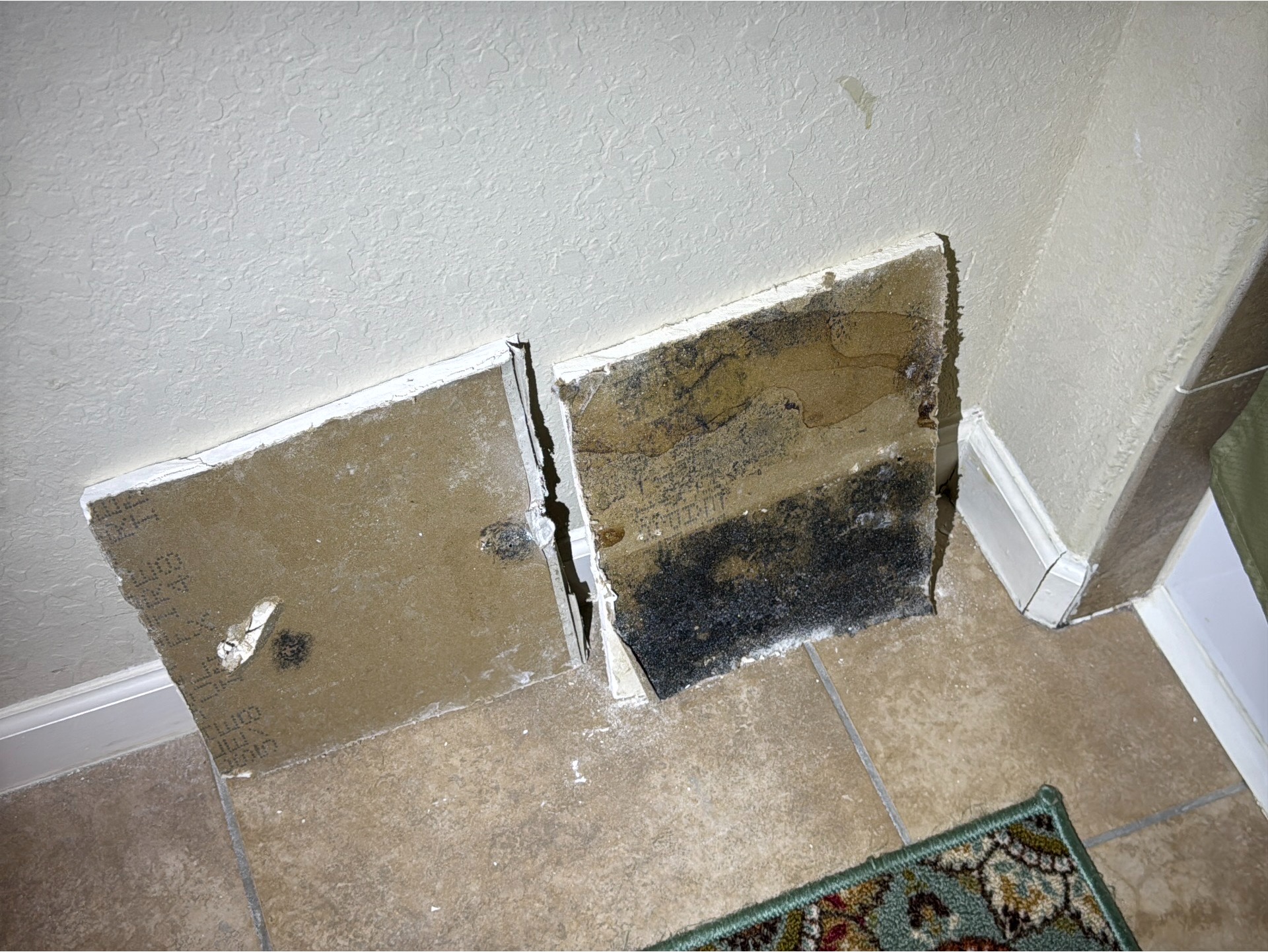 Pieces of drywall with black mold and water damage are propped against a textured beige wall, highlighting construction issues. Tan tile floor and corner rug visible.