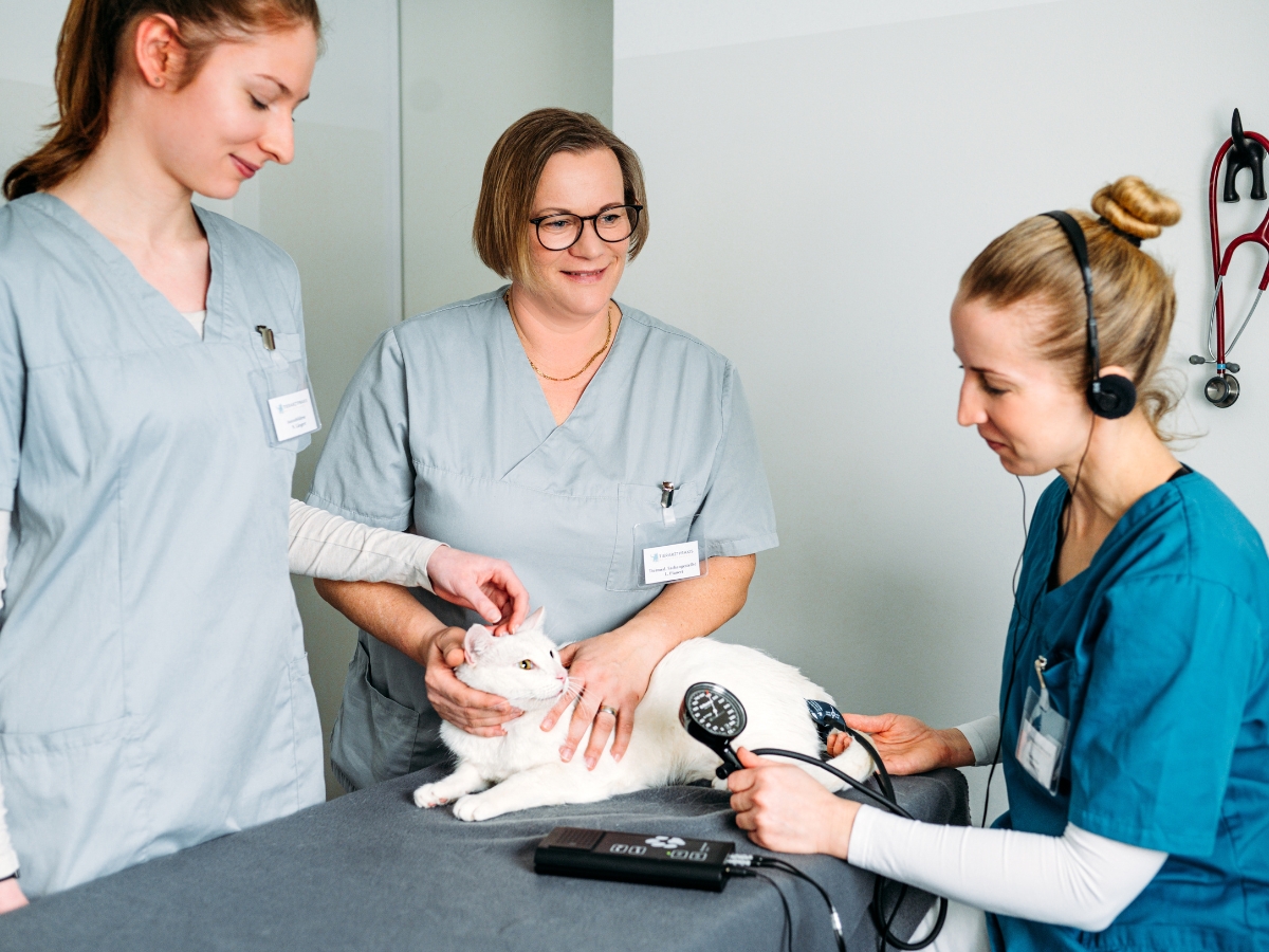 Bilder Tierarzt Vormum Berlin-Mahlsdorf, Tierarztpraxis am Wildrosengehölz