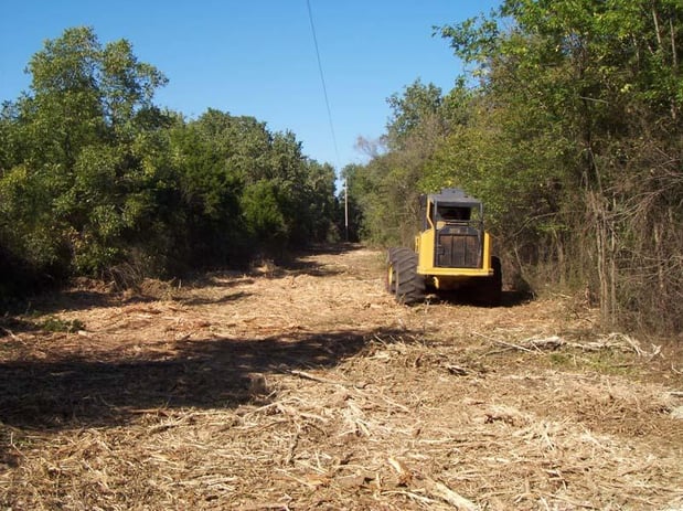Images Horton Tree Service