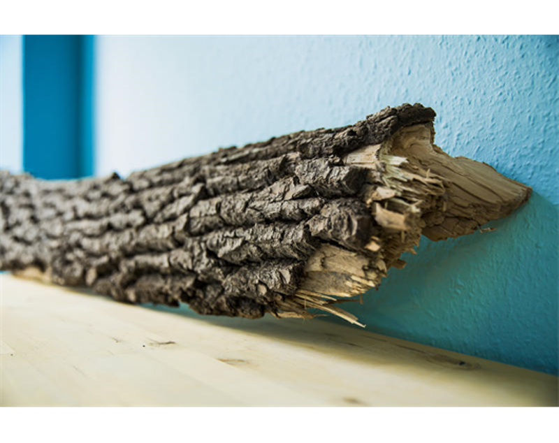 Ergotherapie Detlef Thümlein und Evelyne Geßner, Franz-Ludwig-Straße 14 in Bamberg