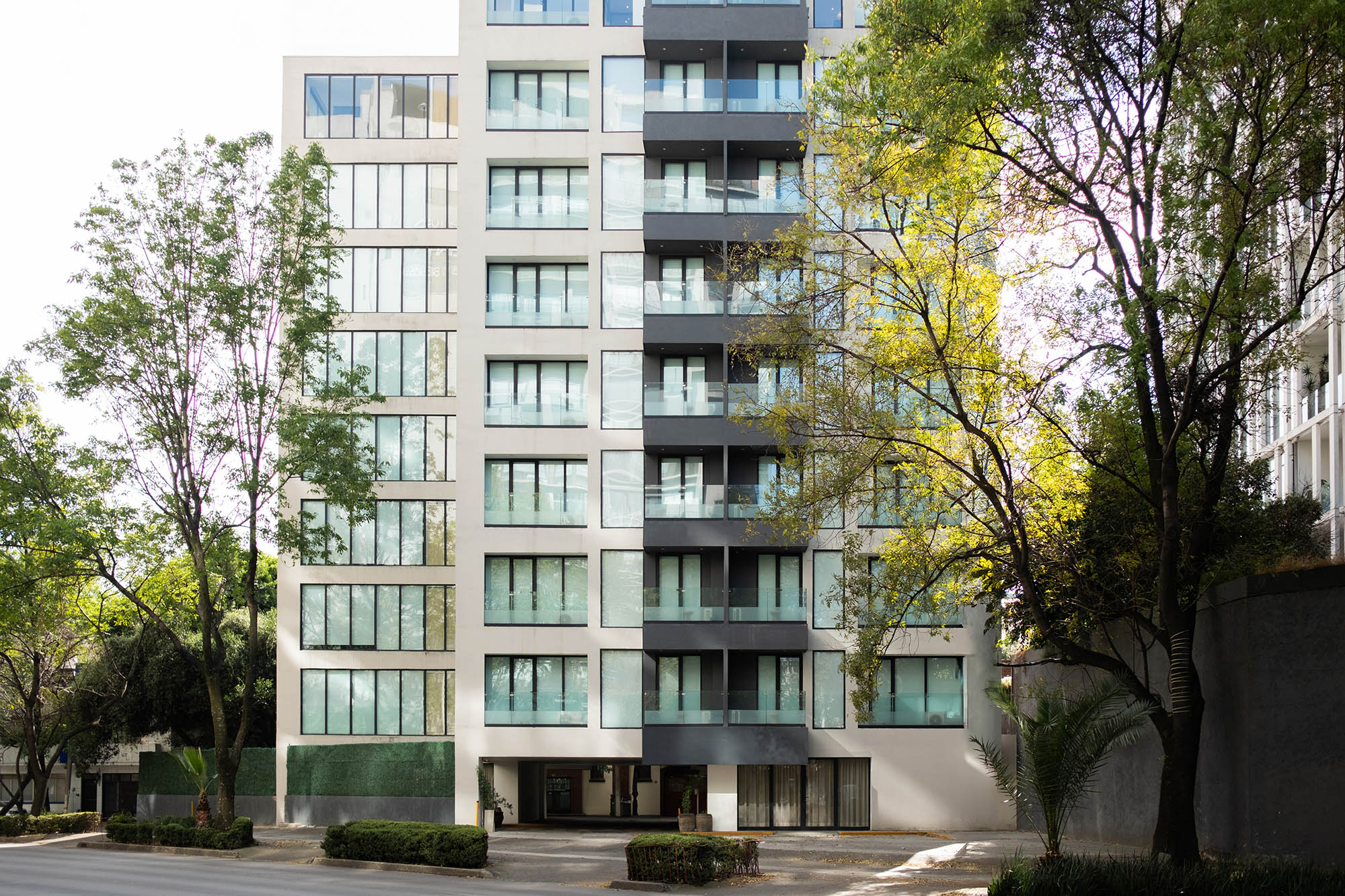 Images Crisol Suites Condesa