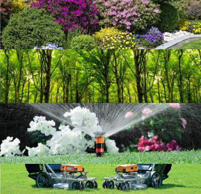 Images Idea Verde di Pettenuzzo Stefano