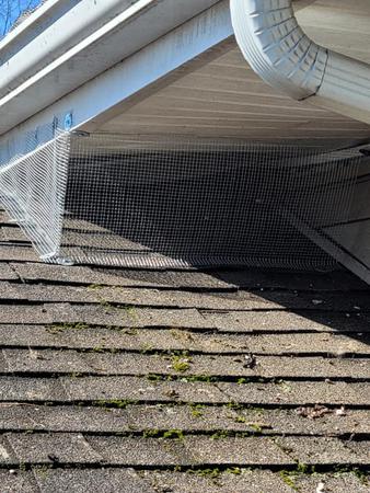 Images Expert Pest Control LLC