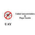 Uay Logo