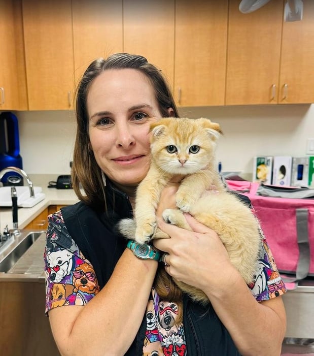 Images VCA Laguna Niguel Animal Hospital