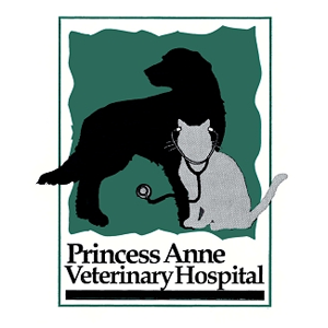 Princess Anne Vet