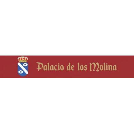 Hotel Palacio De Los Molina Molina de Aragón