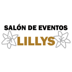 Foto de Salon De Eventos Lillys Ciudad del Carmen
