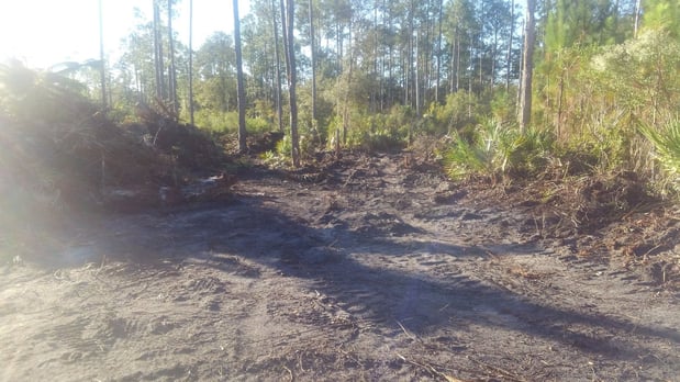 Images Boa Excavating