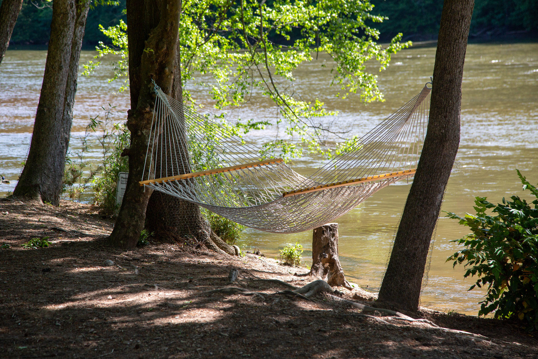 Walton On The Chattahoochee Photo