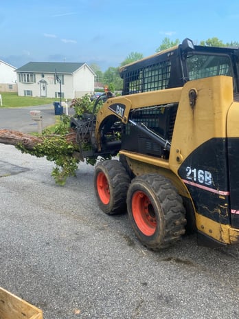 Images Fine Cut & Trim