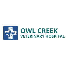 Owl Creek Vet Hospital