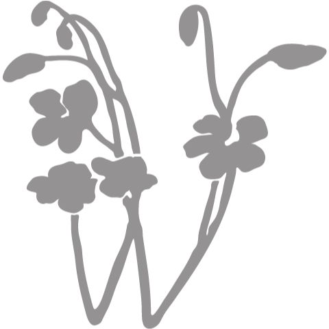 Auberge Resorts, LLC logo