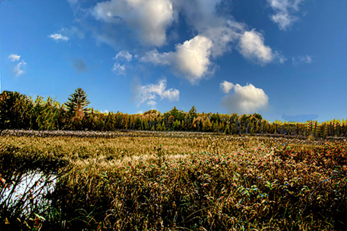 Flahertys Photography Logo