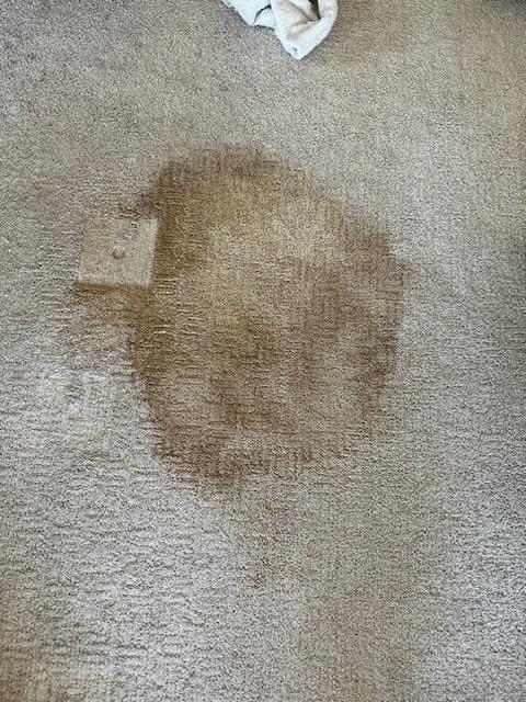 Images Chem-Dry of Lake Tahoe