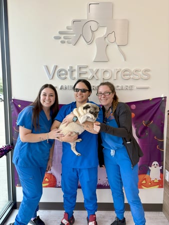Images VetExpress Animal Urgent Care