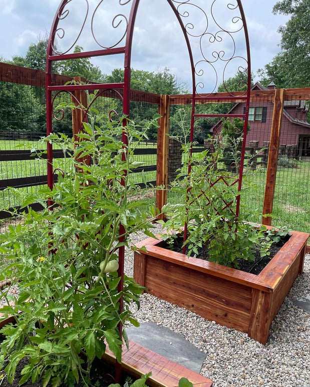 Images Edible Gardens Inc