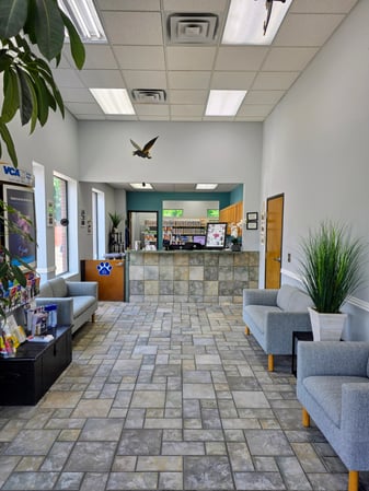 Images VCA Central Expressway Animal Hospital