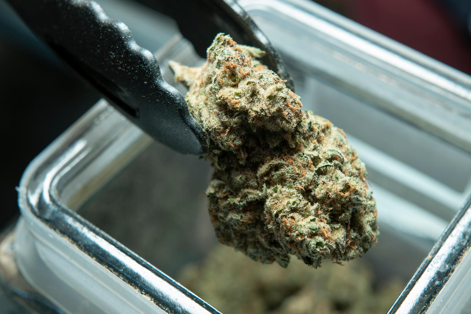 Star Buds DU Recreational Marijuana Dispensary at E Evans Ave