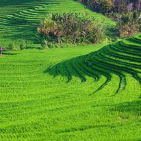 Images Magical Happenings Travel