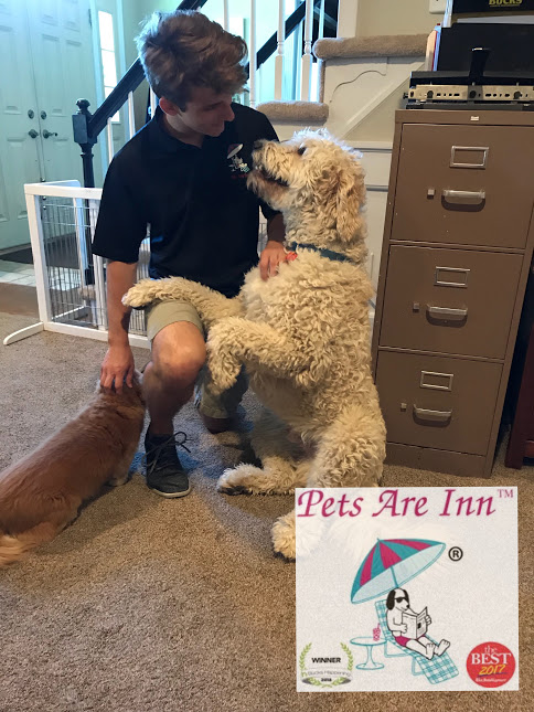 Boomer and Darwin are the best of friends with our  PetsAreInn chauffeur, Christian. We're blessed with the best!
