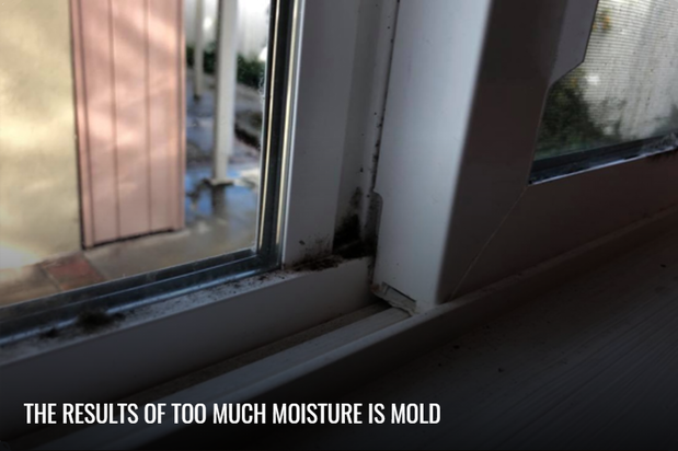 Images California Healthy Home Inspections