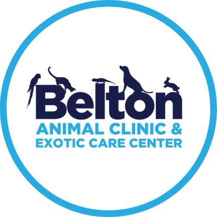 Belton Animal Clinic & Exotic Care Center Logo