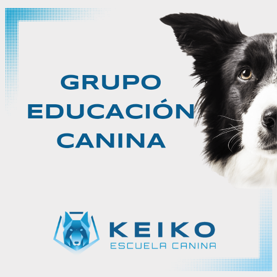 Images KEIKO Escuela Canina