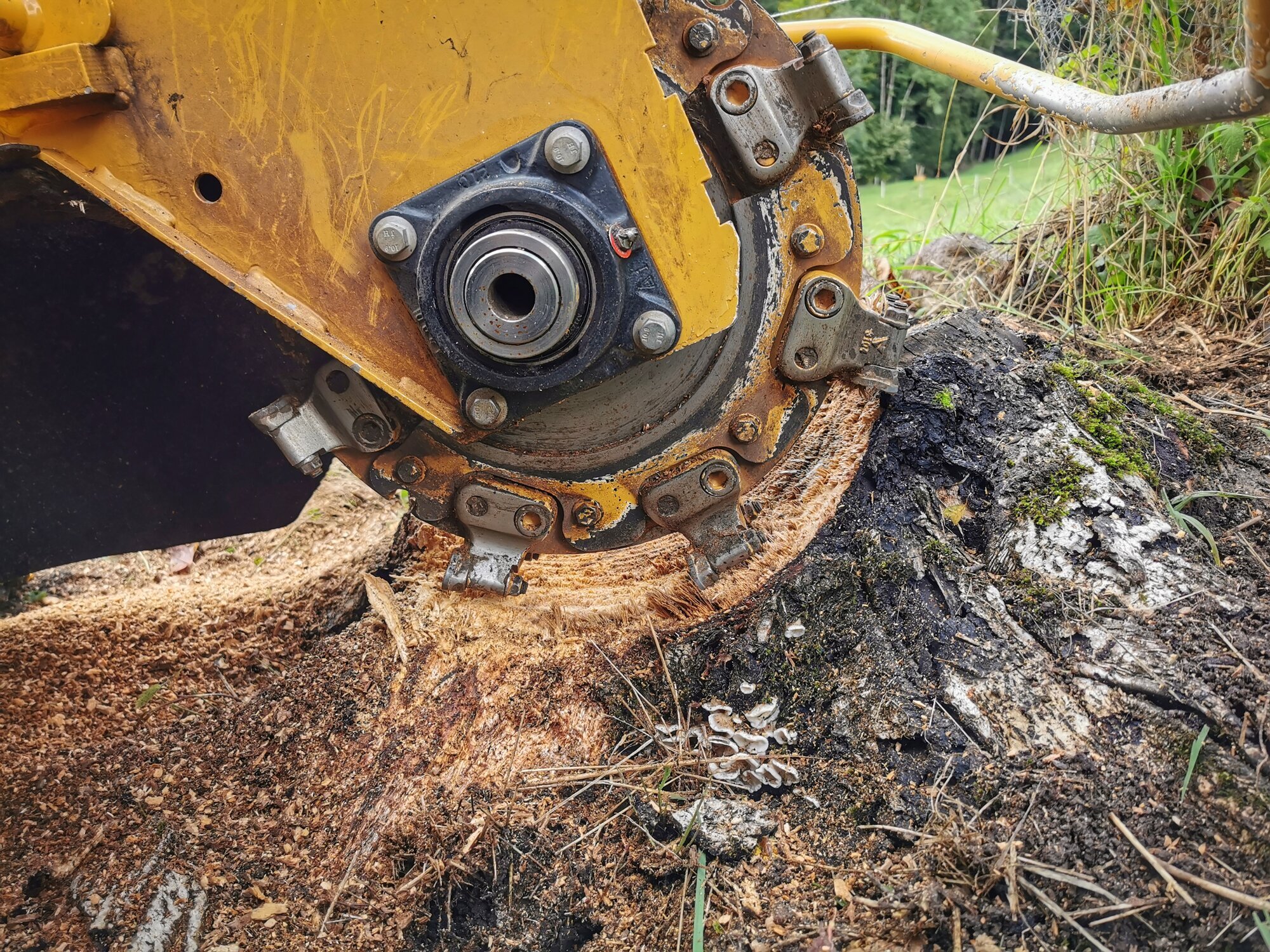 Baumstumpffräsen Tobias Baier, Mangfallstraße 16B in Bad Aibling