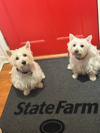 Images Randy Wagner - State Farm Insurance Agent