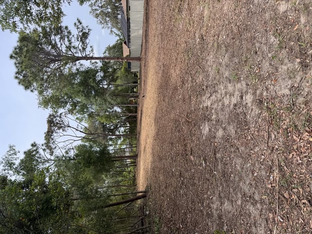 Images Trent's Tree Service The Neighborhood Arborist LLC