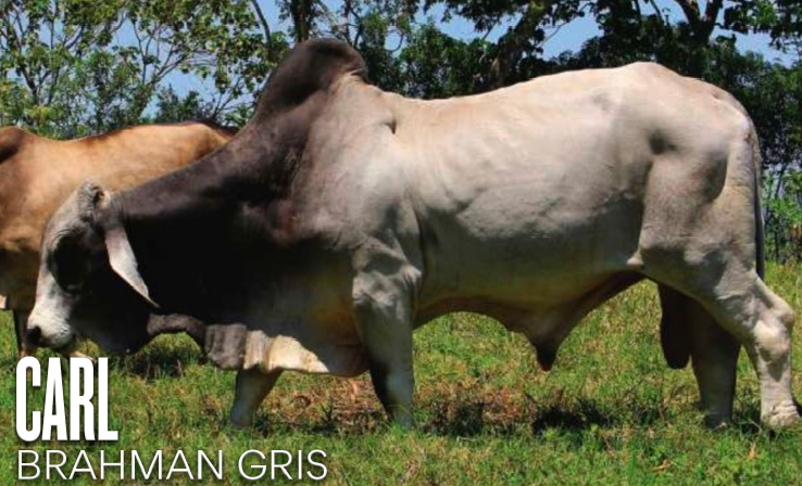 Images Rancho La Marina