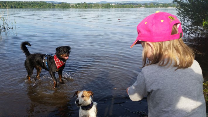 Bilder Hundeschule Zürioberland