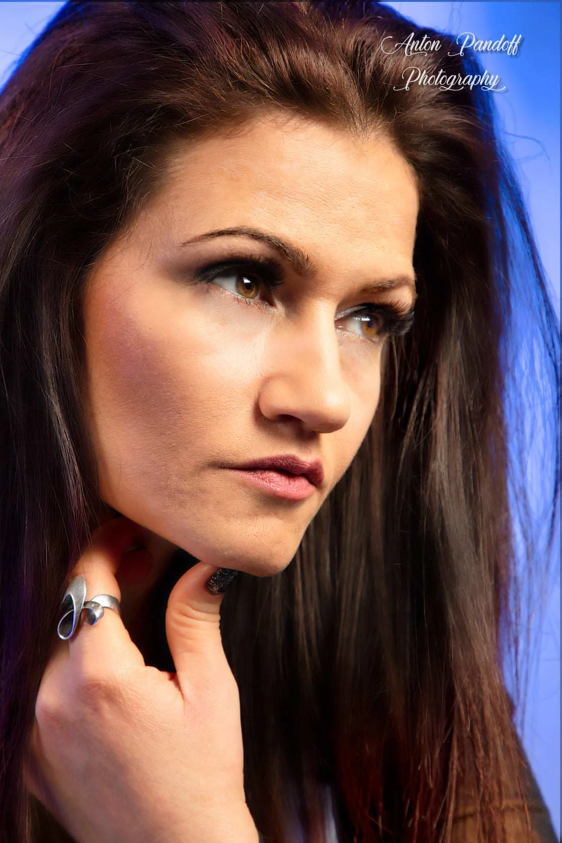 Images The Gilded Lens Photography Ltd
