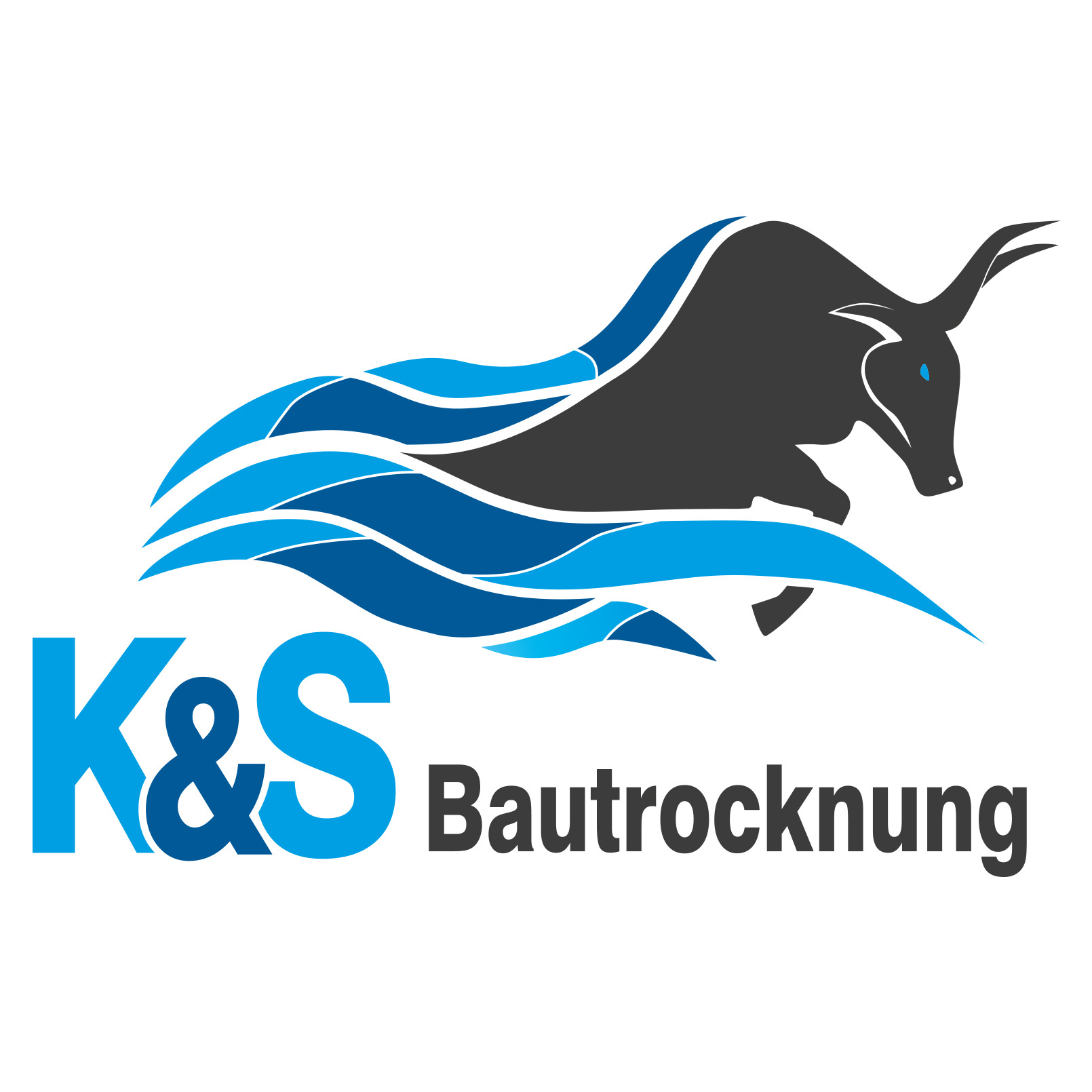 K&S Bautrocknung Logo