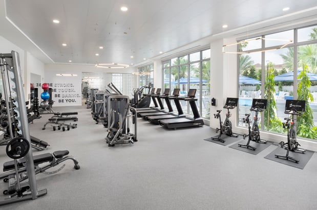 Images The Marc Apartments