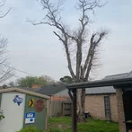 C&J Projects & Services Image