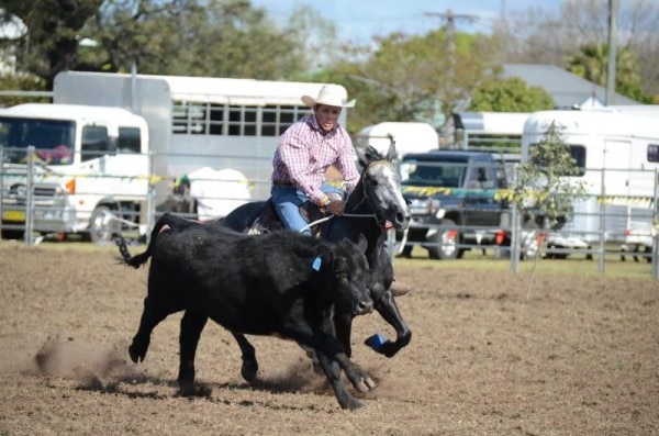 Images Singleton Showground